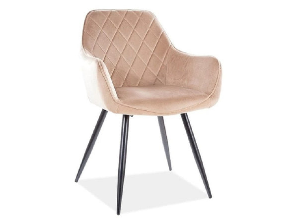 Stuhl - Bluvel - Moderner mit Polsterung für elegantes und bequemes Sitzen. - ROYAL24_MARKT