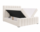 Boxbett – Bett 01 BIS – Vibe – Komfort trifft auf modernes Design